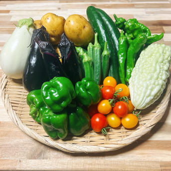 旬祭限定】80サイズ たっぷり夏野菜セット ｜ 野菜/野菜セット 