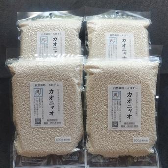 無肥料・自然栽培の長粒もち米 カオニャオ（精白米/R7年産）2.4kg 