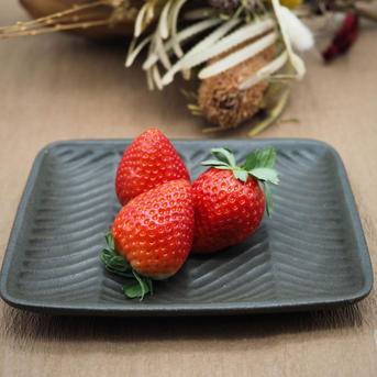 とちあいか平パック Aサイズ2箱4パック | 果物/いちご 産直アウル 農家