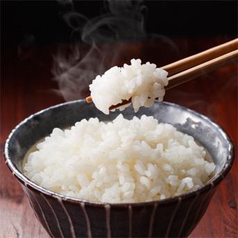 コシヒカリ　無洗米　10キロ　10kg　令和6年産　(送料込み) 10kg 米・穀物/無洗米通販