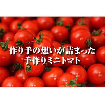 送料込み⑤食べ比べ　ソムリエミニトマト　プラチナ800gとダイヤ800gのセット（90玉から120玉） 1.6kg 野菜/トマト通販