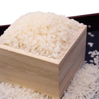 食品 農家直送 秋田県産 令和7年 あきたこまち 20kg 特別栽培米【白