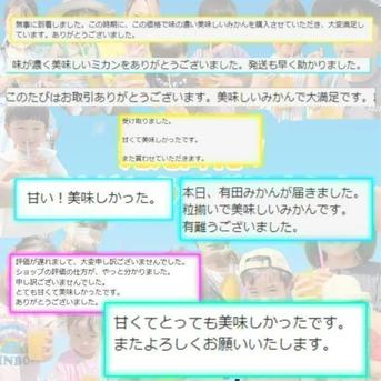 甘い!小さいサイズ! B級小玉の天使のみかん 有田みかん10kg　最高級 10kg 果物/温州みかん通販
