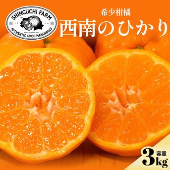 数量限定】西南のひかり3kg 〜とろける甘さと、溢れる果汁の贅沢