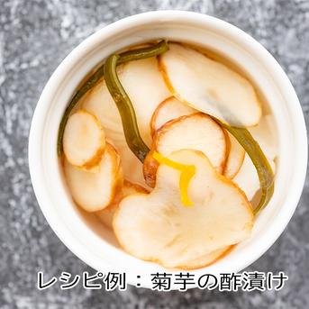 紅菊芋　20kg　土付き　無農薬 土付き 菊芋 20kg【須藤農園】農薬・化学肥料不使用 菊芋 土付き 赤菊芋