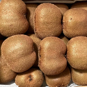 まじりっけなし！自然栽培 農薬不使用「扁平キウイフルーツ」 3kg 果物/キウイフルーツ通販
