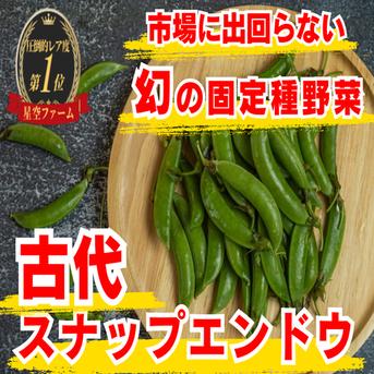 子供がポリポリ止まらない】肉厚で甘い幻の古代種スナップエンドウ 