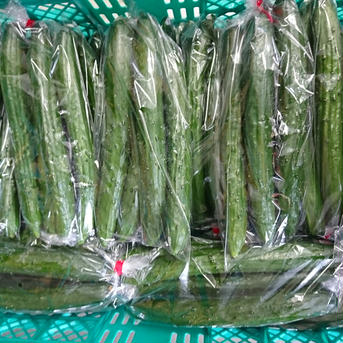 きゅうり4本入り✖10 野菜/きゅうり通販