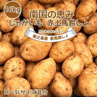 新じゃがいも 送料無料 16kg M~3Lサイズ混合 赤土 南国の恵み 16kg 野菜/じゃがいも通販