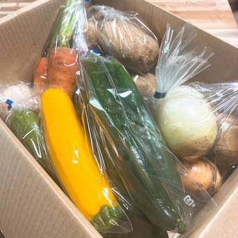 旬の夏野菜セット・個包装【クール便】 80サイズ【5~7品目】 野菜/野菜セット・詰め合わせ通販