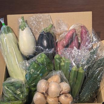 【関東地方へ配送の方】60サイズ箱いっぱい房総旬野菜詰め合わせ（60サイズ箱） 60サイズ箱いっぱい 野菜/野菜セット・詰め合わせ通販