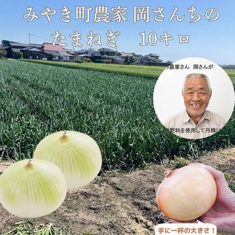 佐賀県みやき町農家 岡さんちのたまねぎ10キロ ｜ 野菜/玉ねぎ 産直