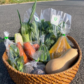 畑から届く体が喜ぶ野菜セットSサイズ 2キロ 野菜/野菜セット・詰め合わせ通販