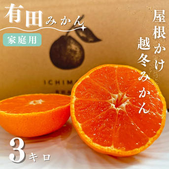 超完熟宮川早生】屋根かけ越冬みかん 3キロSサイズ家庭用 有田みかん