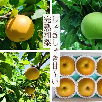 和梨「なつしずく」3㎏ ｜ 果物/梨 産直アウル 農家・漁師など生産者