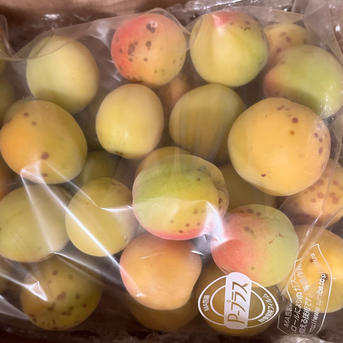 まじりっけなし！自然栽培の梅『十郎』お徳用10kg 梅干に最適！梅