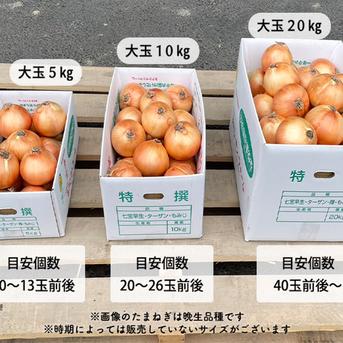 1日10名様限定特別価格 【 大玉 20kg 】 新たまねぎ 淡路島産 4月17日