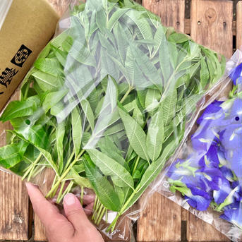 [アレンジ色々！レシピ付き] レモンバーベナとバタフライピー レモンバーベナ100g、バタフライピーの花50輪ほど 野菜/ハーブ通販