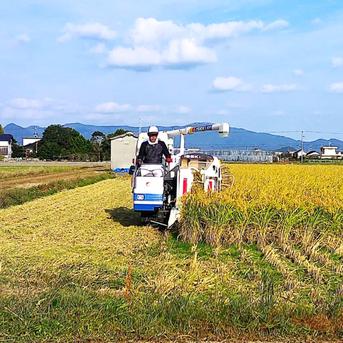 2025年 自然栽培（3年以上）で作った おいしいお米 10kg（玄米