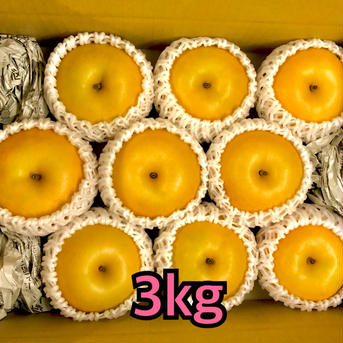 梨　南水　良品　約3kg(7個〜11個) 大好評❗️ 約3kg(7個〜11個) 果物/梨通販