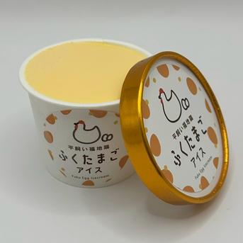 平飼いふくたまごの卵アイス／アソート（6個セット） ノーマルアイス100ml×2個 ラムレーズンアイス100ml×2個 抹茶アイス100ml×2個 加工品/アイス通販