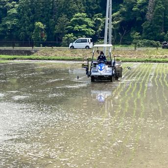 【玄米/10kg】円心米/令和4年産ヒノヒカリ 10kg 米・穀物/玄米通販