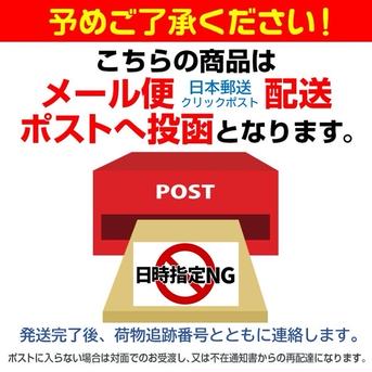 2025年＊新物》祖父江産 銀杏 中玉2Lたっぷり500g ｜ 野菜/その他