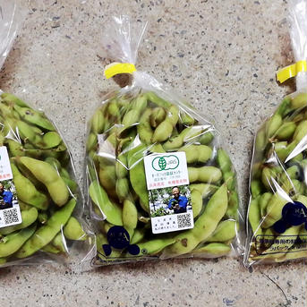 【兵庫県産】有機野菜セット（空芯菜、モロヘイヤ、ツルムラサキ、枝豆） 600g 野菜/野菜セット・詰め合わせ通販