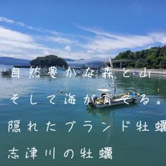サクッと！カキフライ　三陸直送！志津川の牡蠣剥き身加熱用500g×2P 1㎏ 魚介類/牡蠣通販