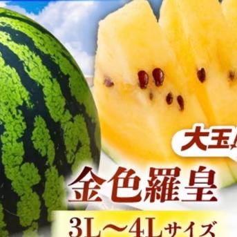 数量限定]勝田農園の満々スイカ(きいろ)金色羅皇 ｜ 果物/スイカ 産直