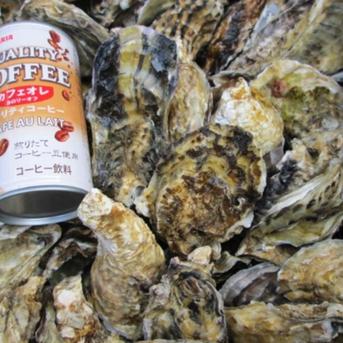 ＳＳサイズ牡蠣 8ｋｇ 宮城県産 殻付き 牡蠣 殻付き【無選別牡蠣】牡蠣 殻付 カキ 加熱調理用 8ｋｇ 魚介類/牡蠣通販