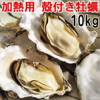 【10％OFF設定中】加熱用牡蠣　１０ｋｇ生牡蠣 宮城県産 殻付き 牡蠣 殻付き 牡蠣 殻付 カキ 加熱調理用 10kg 魚介類/牡蠣通販