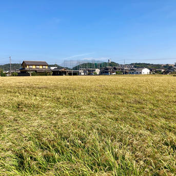 令和7年岡山県産アケボノ玄米30キロ | 米・穀物/玄米 産直アウル 農家