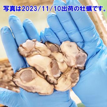 30％OFF販売中 生食用 剥き身（お鍋にも可） 牡蠣 宮城県産 500ｇ×2本 カキ むき身 牡蛎【条件付き】 1ｋｇ 魚介類/牡蠣通販