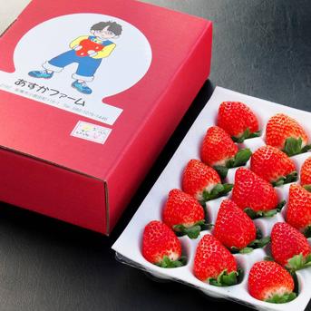 【母の日、内祝い】ジューシー 全国10件のみ栽培の幻品種 かなり甘いのが特徴  400ｇ2パック ジューシー400ｇ2パック 果物/いちご通販