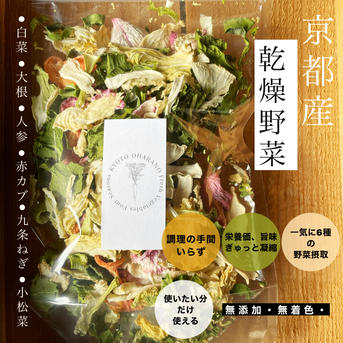 6品の乾燥野菜4袋 40g 野菜/野菜の加工品通販