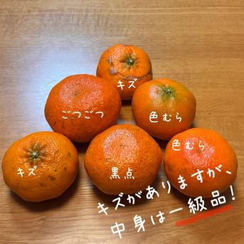 のほほ〜ん　甘平8kg×２箱ぐるりん 紅プリンセスと同品種】「甘平×まどんな」愛果48号【2kg】《新品種
