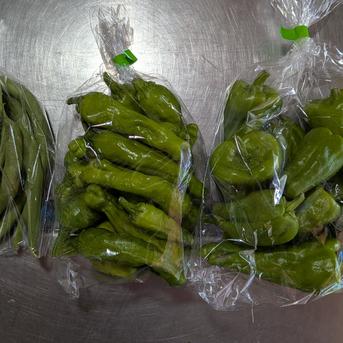 すももと野菜セット スモモ1.5kg、インゲン90g、ピーマン200g、シシトウ140g、トウモロコシ800gの詰め合わせです。 野菜/野菜セット・詰め合わせ通販