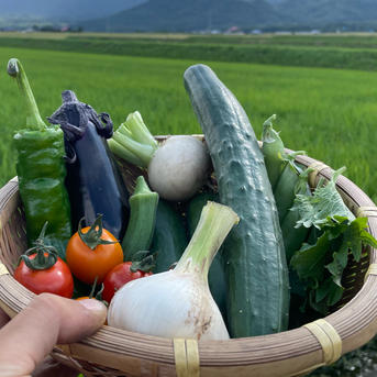富良野から旬の野菜セット】80サイズたっぷり採れたて野菜セット