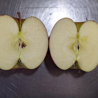 ふじりんご訳あり8玉 約2.4kg 果物/りんご通販