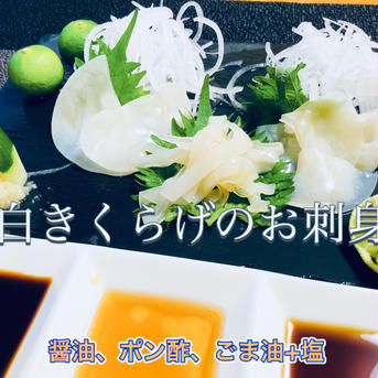 《お試し》高知県産 生黒きくらげ250g &生白きくらげ200g 生黒きくらげ250g 生白きくらげ200g 合計450g 野菜/きのこ通販