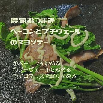 有機栽培✨プチヴェール✨2025最終 250ｇ前後 野菜/キャベツ通販