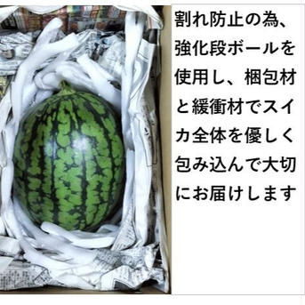 小玉スイカ シャリっと甘い！あきた夏丸チッチェ！〈爆大サイズ1玉〉 爆大１玉 果物/スイカ通販