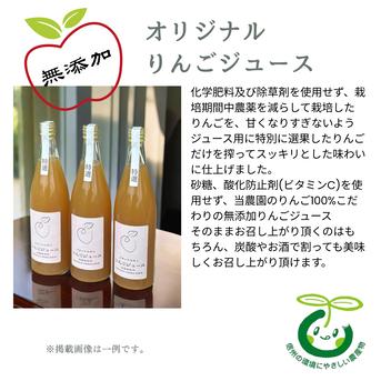 無添加! 生産農家直送 りんごジュース シナノドルチェ 2026年産 720ml