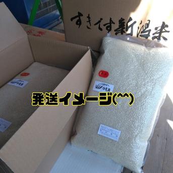 無農薬米新潟県産コシヒカリ15k | 米・穀物/米/精米 産直アウル 農家