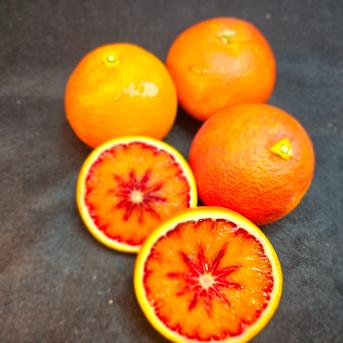 箱込約5㌔　熟成ブラッドオレンジ　味と紅が濃い 箱込約5㌔　ブラッドオレンジ贈答 果物/その他柑橘類通販