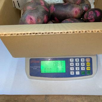 デストロイヤー約1.8kg ｜ 野菜/じゃがいも 産直アウル 農家・漁師など