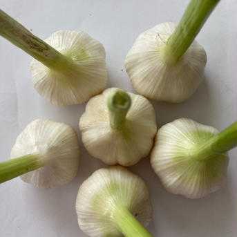 極上　ニンニク　国産　1kg 1kg 野菜/にんにく通販