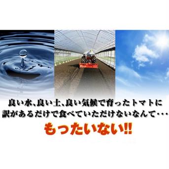 受賞歴３回‼️③訳ありソムリエトマト約２kg（８玉～１６玉)ダイヤのオマケ付き ２kg 野菜/トマト通販