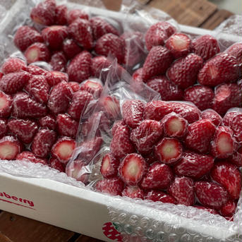 冷凍いちご2kgセット(採り合わせ500g×4パック) 2kg(500g真空パック×4) 果物/いちご通販